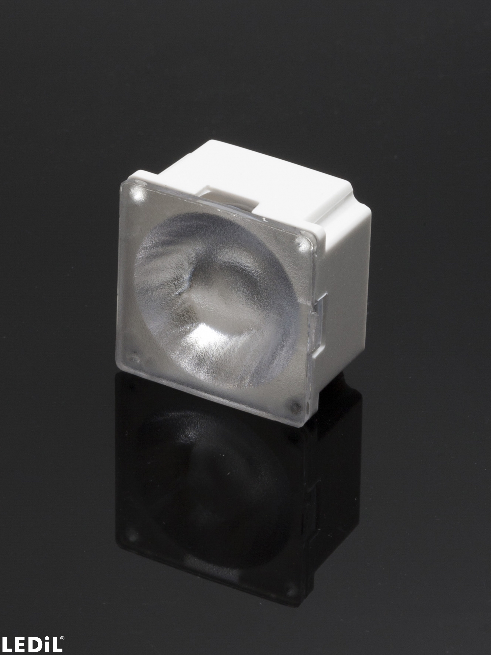 Lens Ledil FA15480_ROSE-MRK-BW