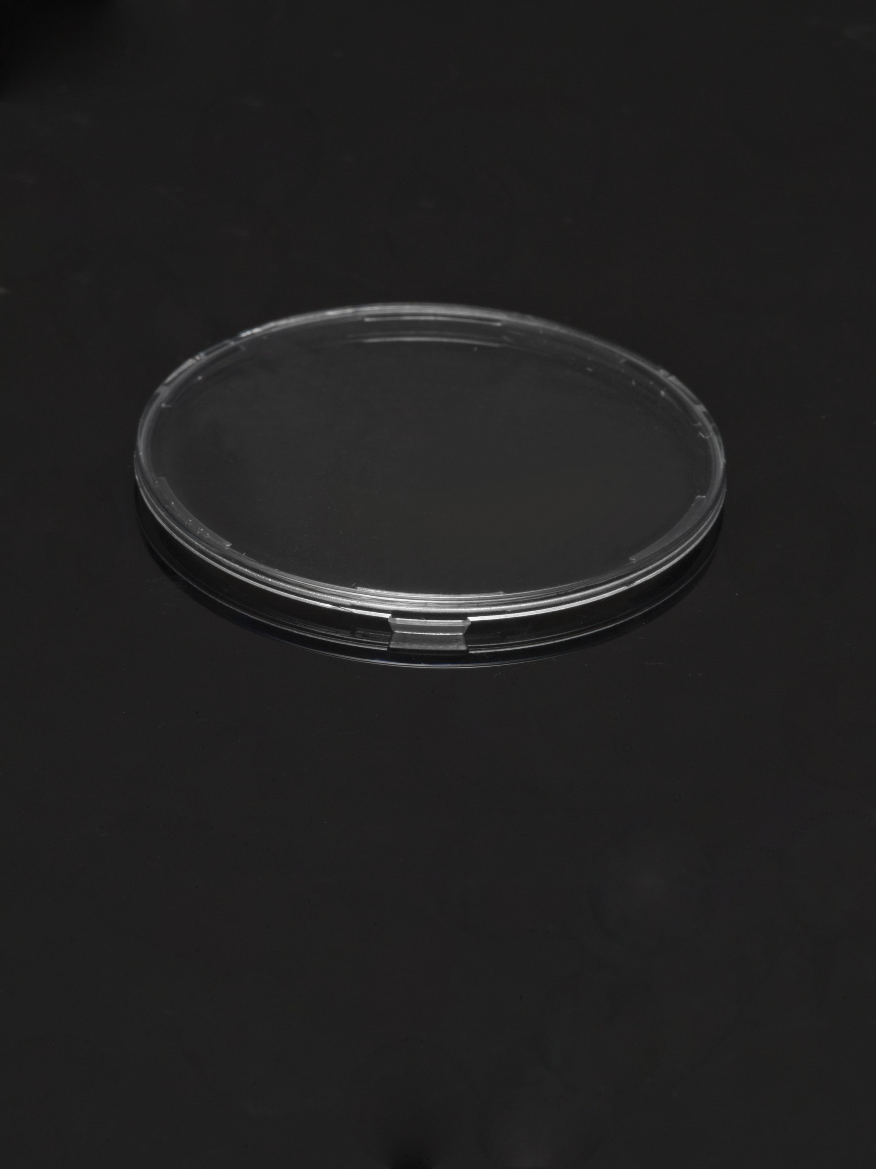 Lens Ledil C13333_MIRELLA-CL